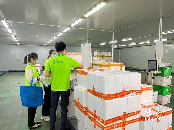 凌晨出擊，守護舌尖安全 全省2165家農(nóng)貿(mào)市場全面啟動食用農(nóng)產(chǎn)品快速檢測